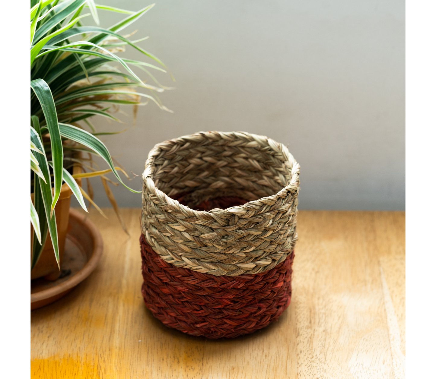 Small Planter of Sabai Grass - Red and Natural - ArtisanSoul