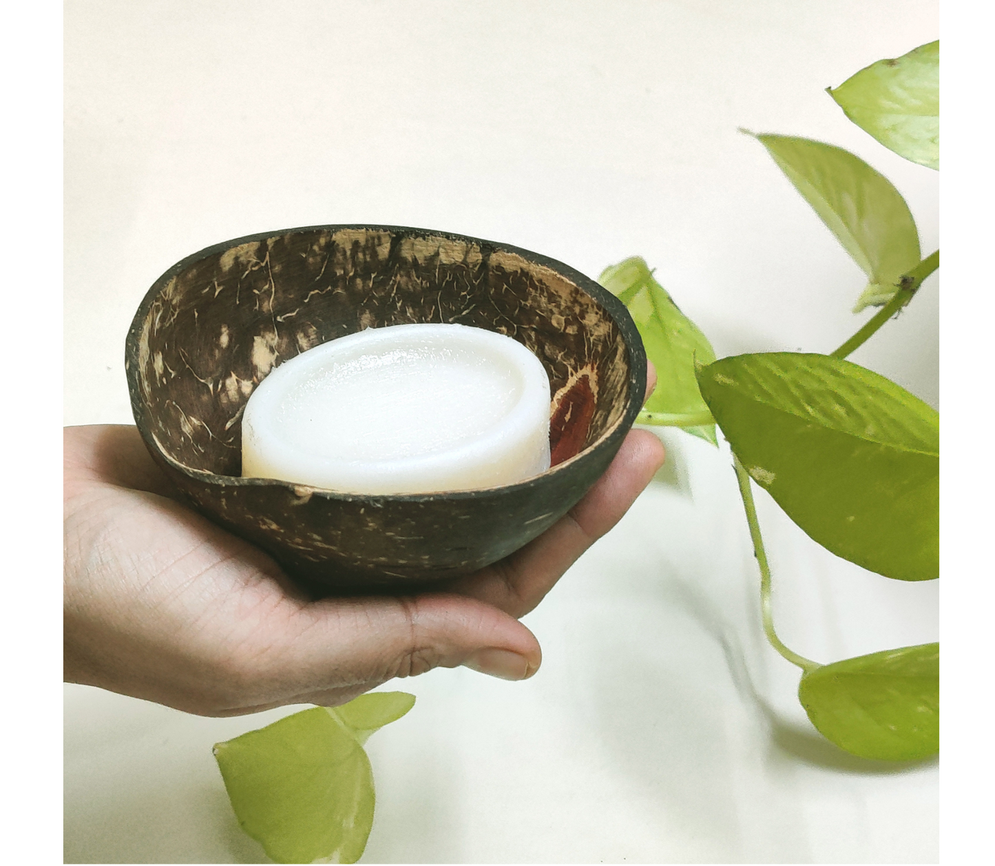 Coconut Soap Dish - ArtisanSoul