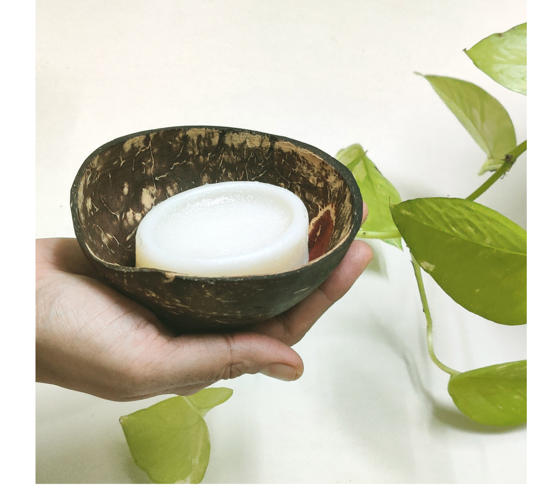 Coconut Soap Dish - ArtisanSoul