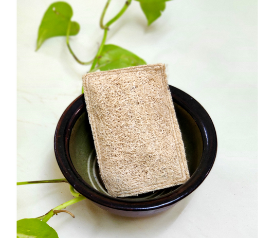 Loofah-Dish Scrubs - ArtisanSoul