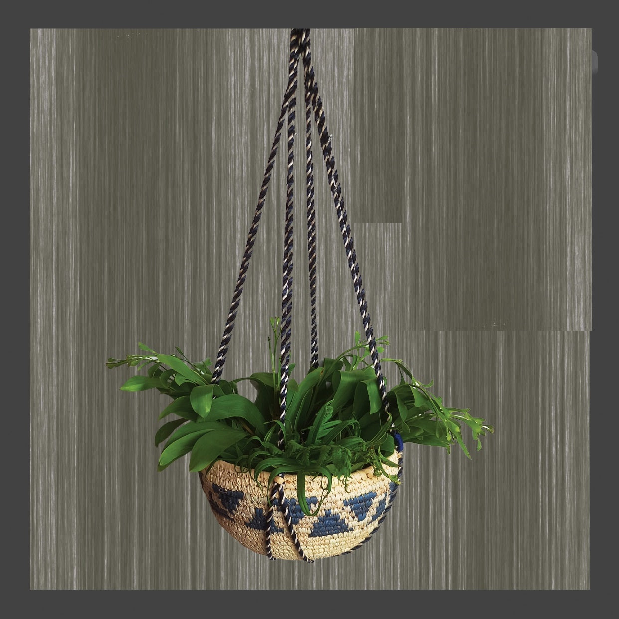 Planter of Sabai Grass - Natural and Blue - ArtisanSoul