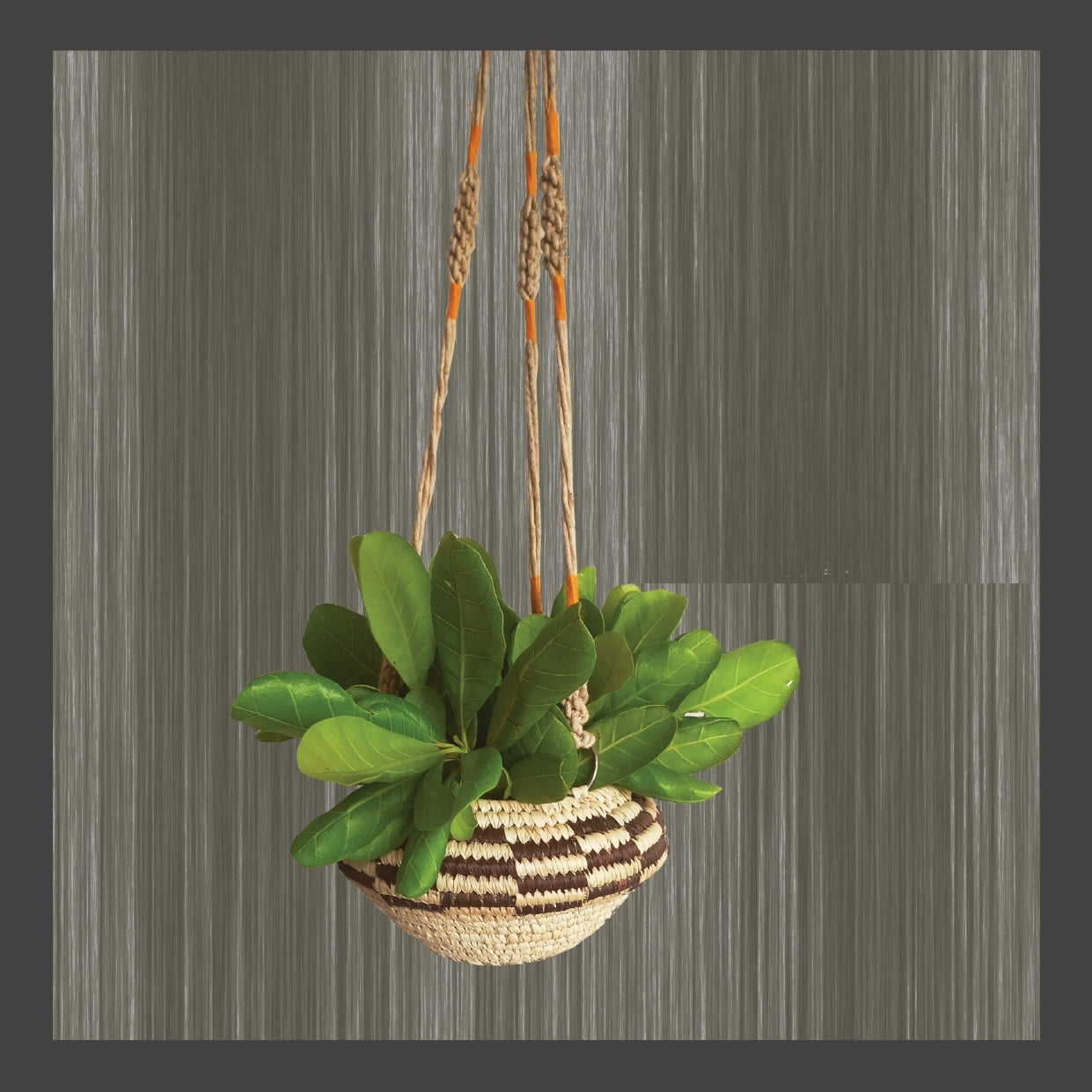 Sabai Grass Hanging Planter - Natural and Brown - ArtisanSoul