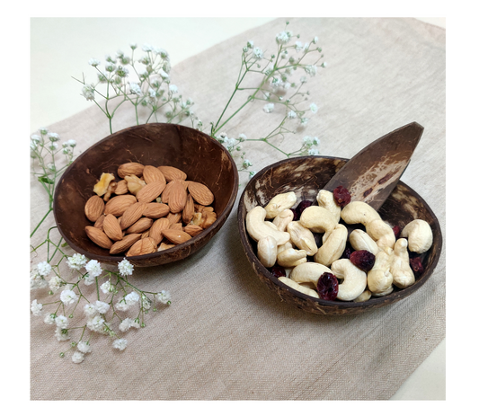 Coconut Shell Snack Bowls Pack - 2 - ArtisanSoul