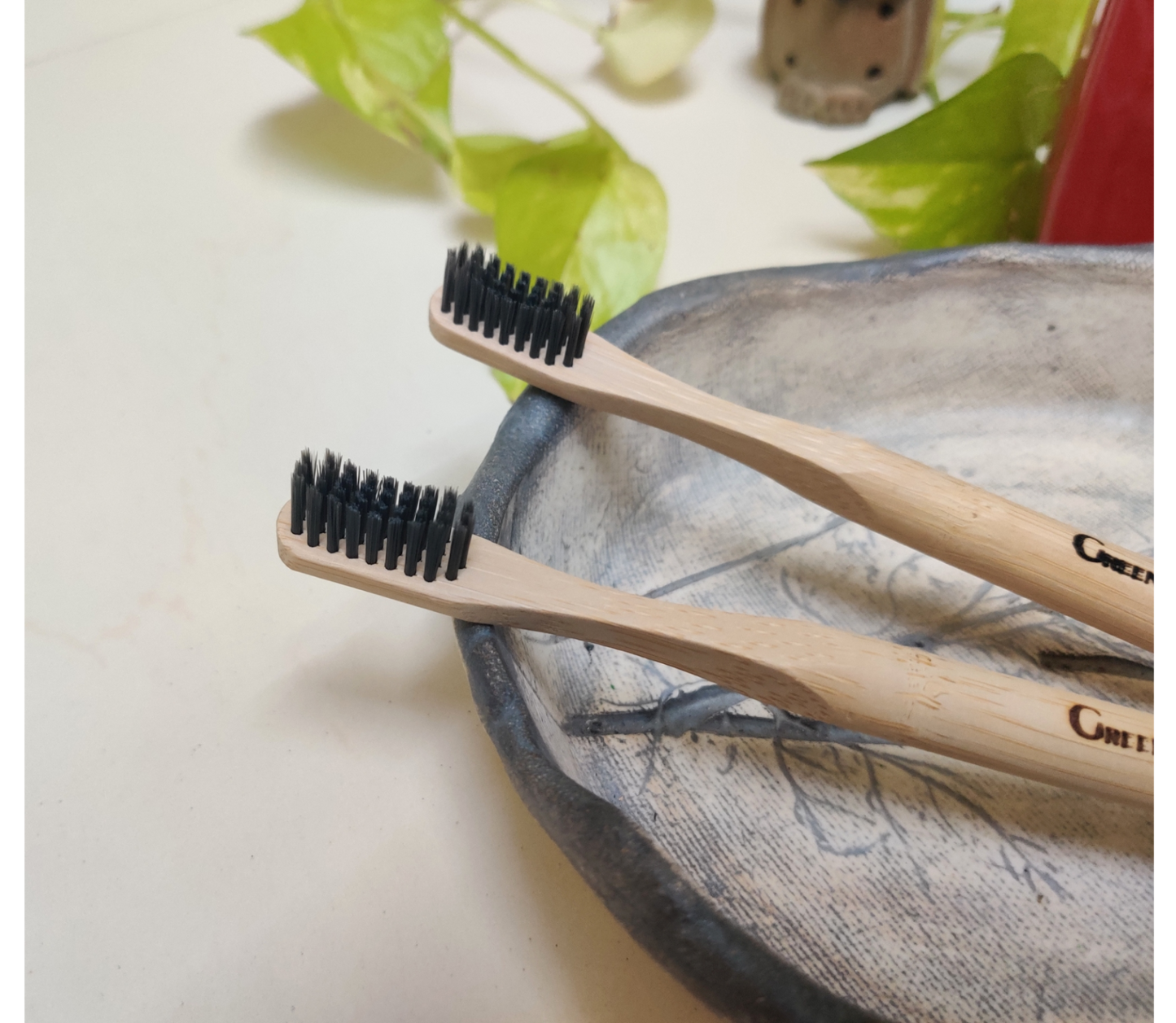 Natural Bamboo Toothbrush with round handle - Pack of 2
