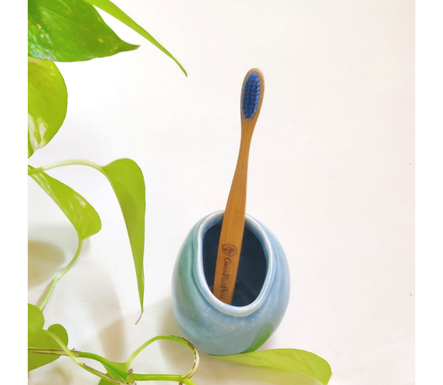 Natural Bamboo Kids Toothbrush Combo