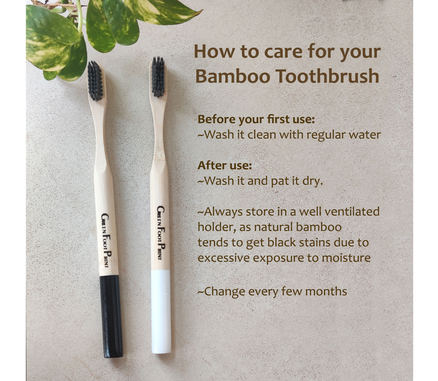Natural Bamboo Toothbrush with round handle - Pack of 2