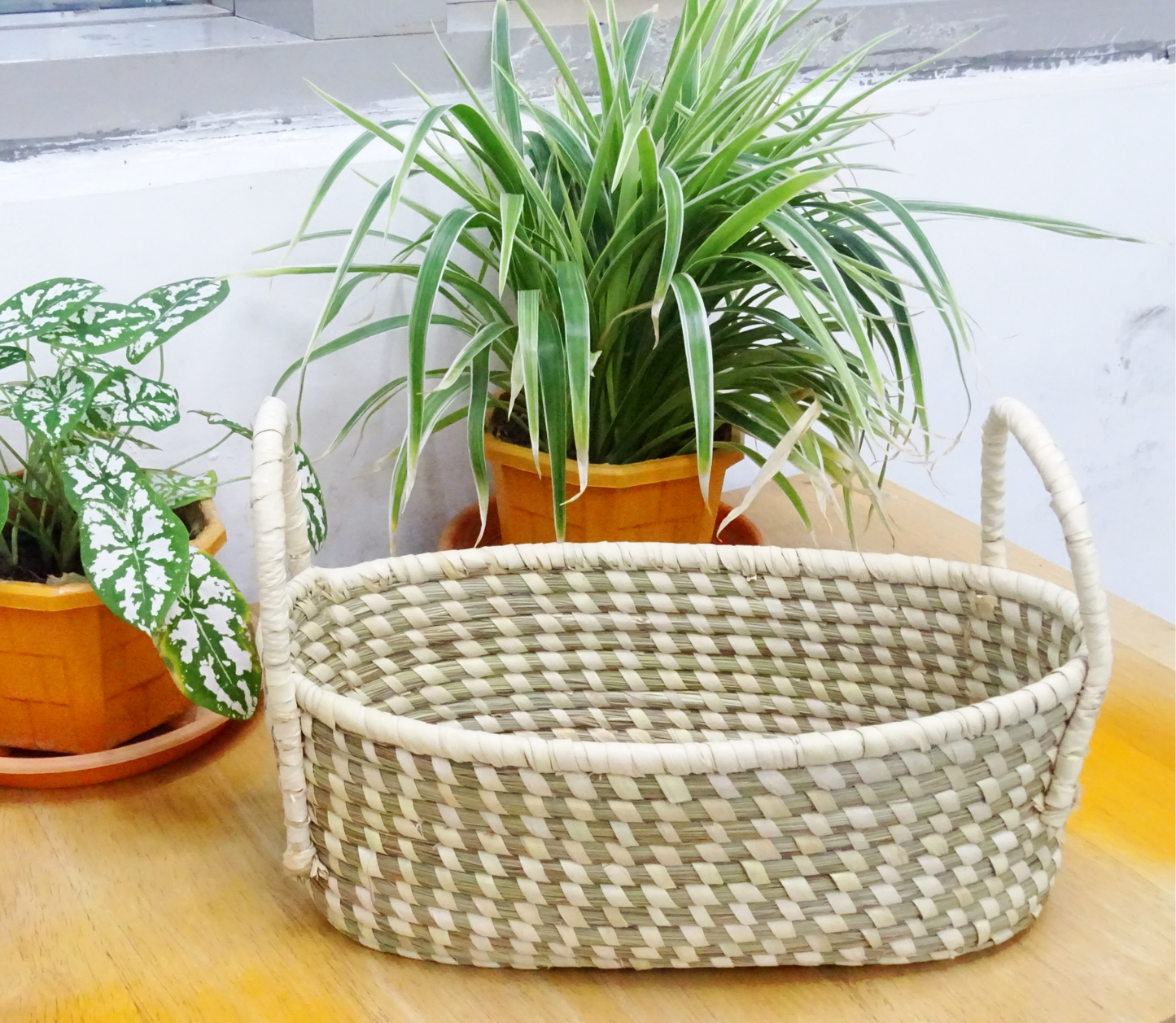 Oval fruit Basket of Sabai Grass from Odisha - Natural - ArtisanSoul