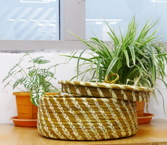 Roti Box of Sabai Grass from Odisha - Yellow & Natural - ArtisanSoul