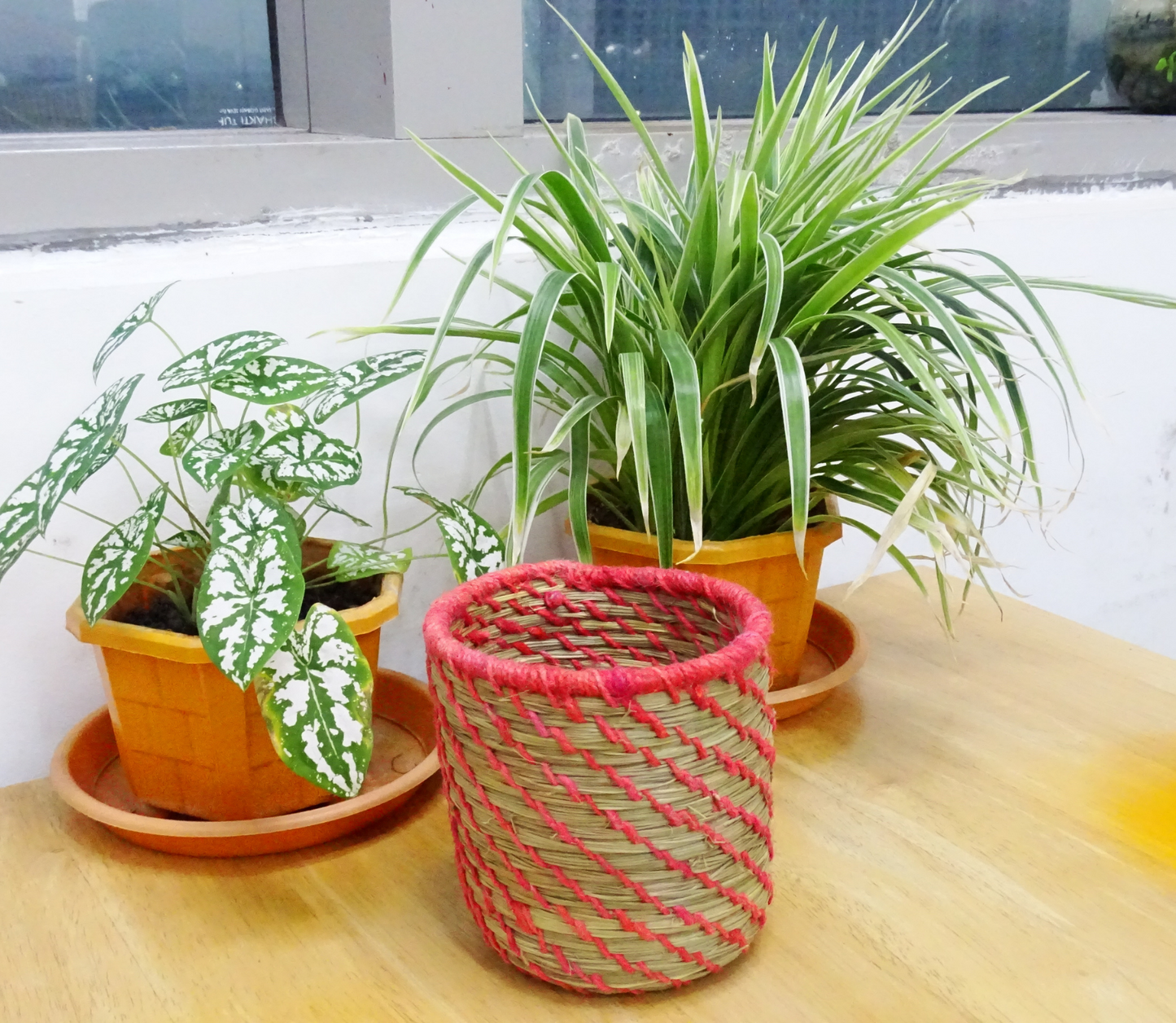 Tiny Planter of Sabai Grass from Odisha - Red & Natural - ArtisanSoul