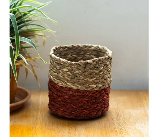 Small Planter of Sabai Grass - Red and Natural