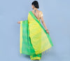 Handloom Cotton Saree - Yellow & Green