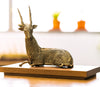 Authentic Dokra Deer from Odisha
