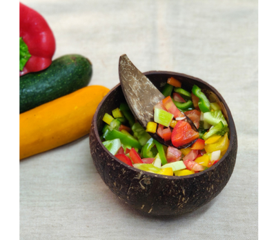 Coconut Shell Bowls Set of 2