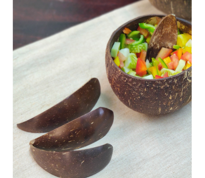 Coconut Shell Bowls Set of 2