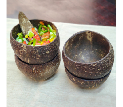 Coconut Shell Bowls Set of 2