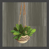 Sabai Grass Hanging Planter - Natural and Brown