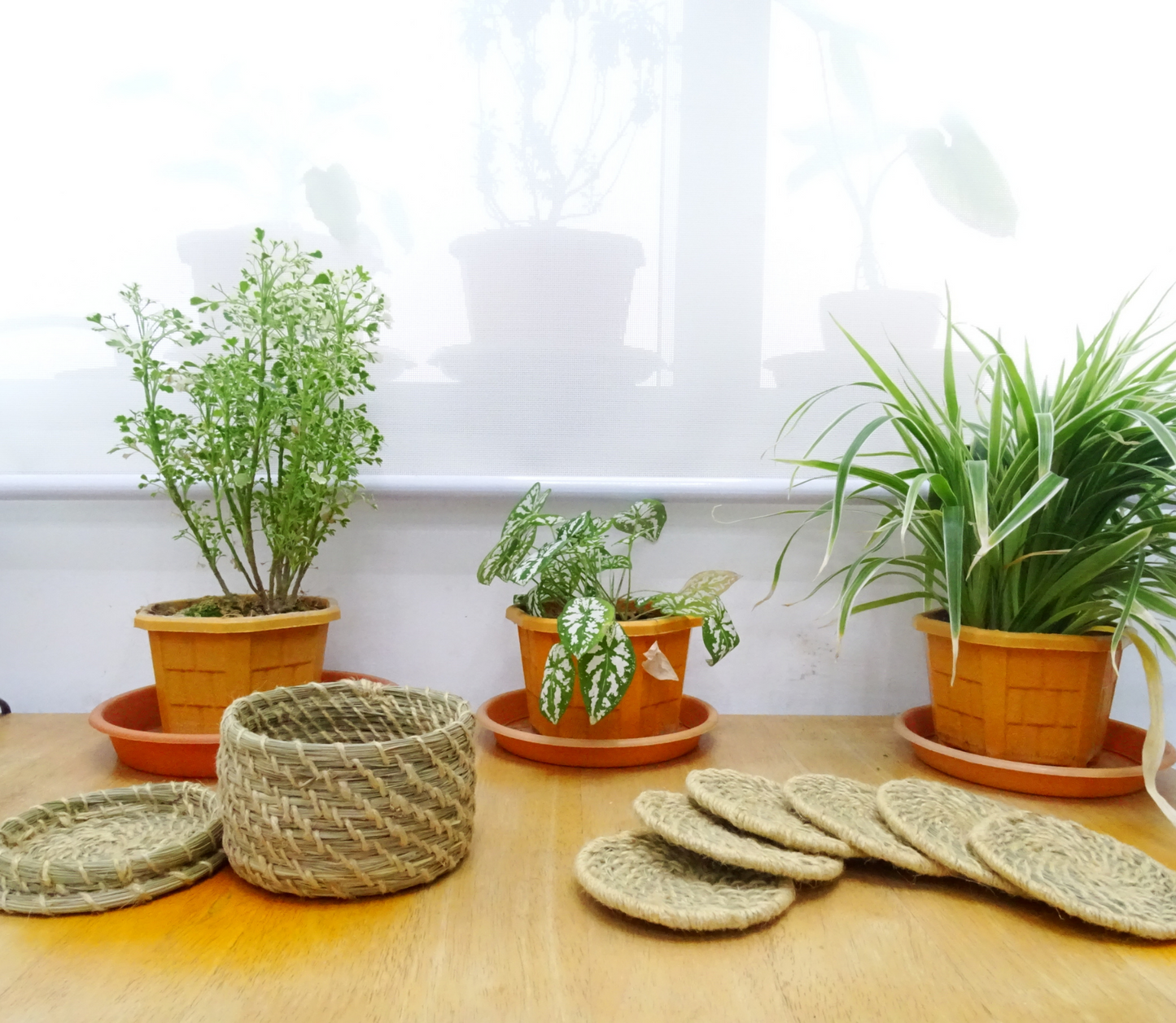 Coaster Set of Sabai Grass from Odisha - Natural