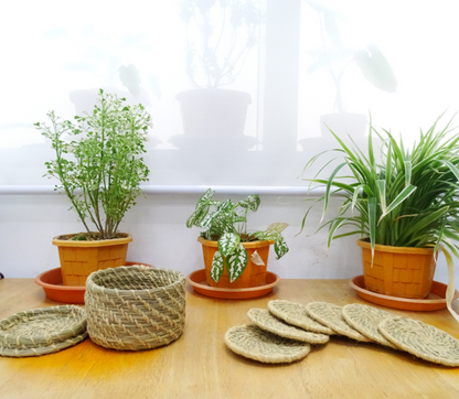 Coaster Set of Sabai Grass from Odisha - Natural