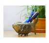 Authentic Dokra Craft from Bengal - Fish Shape Pen Stand