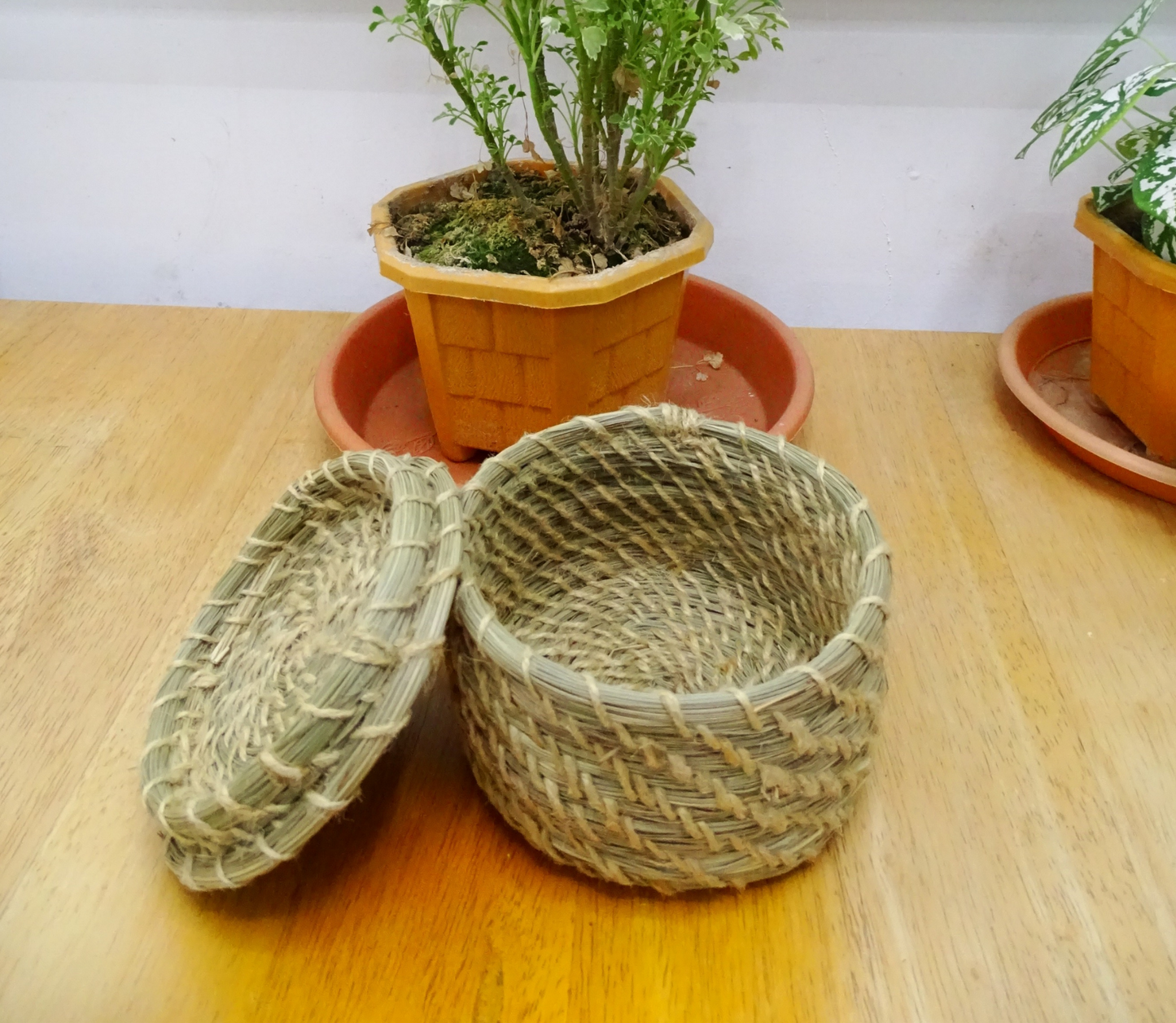 Coaster Set of Sabai Grass from Odisha - Natural