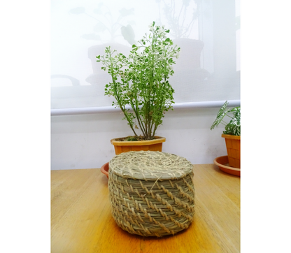 Coaster Set of Sabai Grass from Odisha - Natural