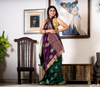 Linen Saree With Work All Over The Saree - Bottle Green & Violet